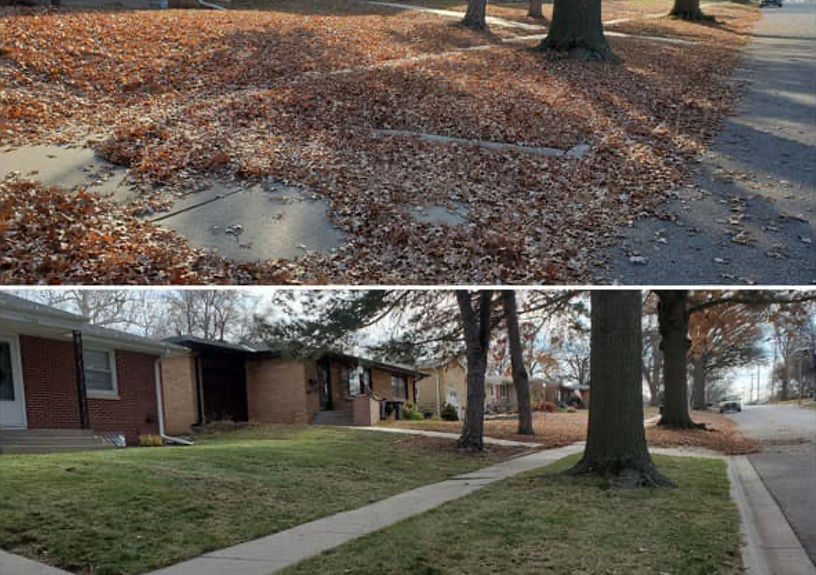 Lawn Cleanup & Leaf Removal